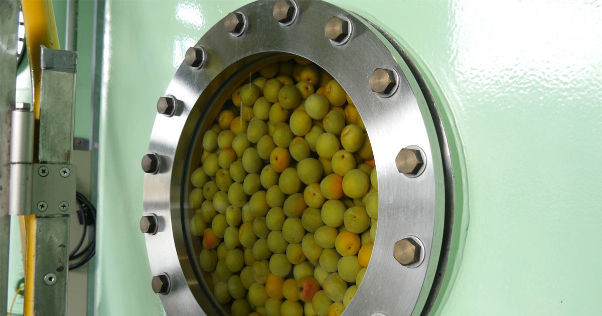 チョーヤ梅酒の魅力を探る！ 本格梅酒の工場を訪問