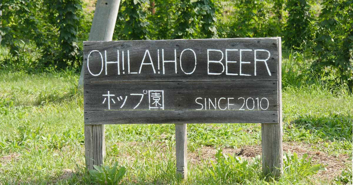 オラホビールのブルワリーを訪問！ ホップ畑を見学しました