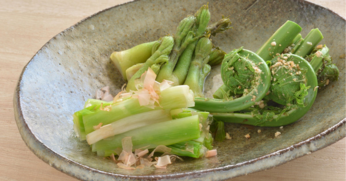 春の山菜は栄養たっぷり 管理栄養士おすすめの調理法とは イエノミスタイル 家飲みを楽しむ人の情報サイト