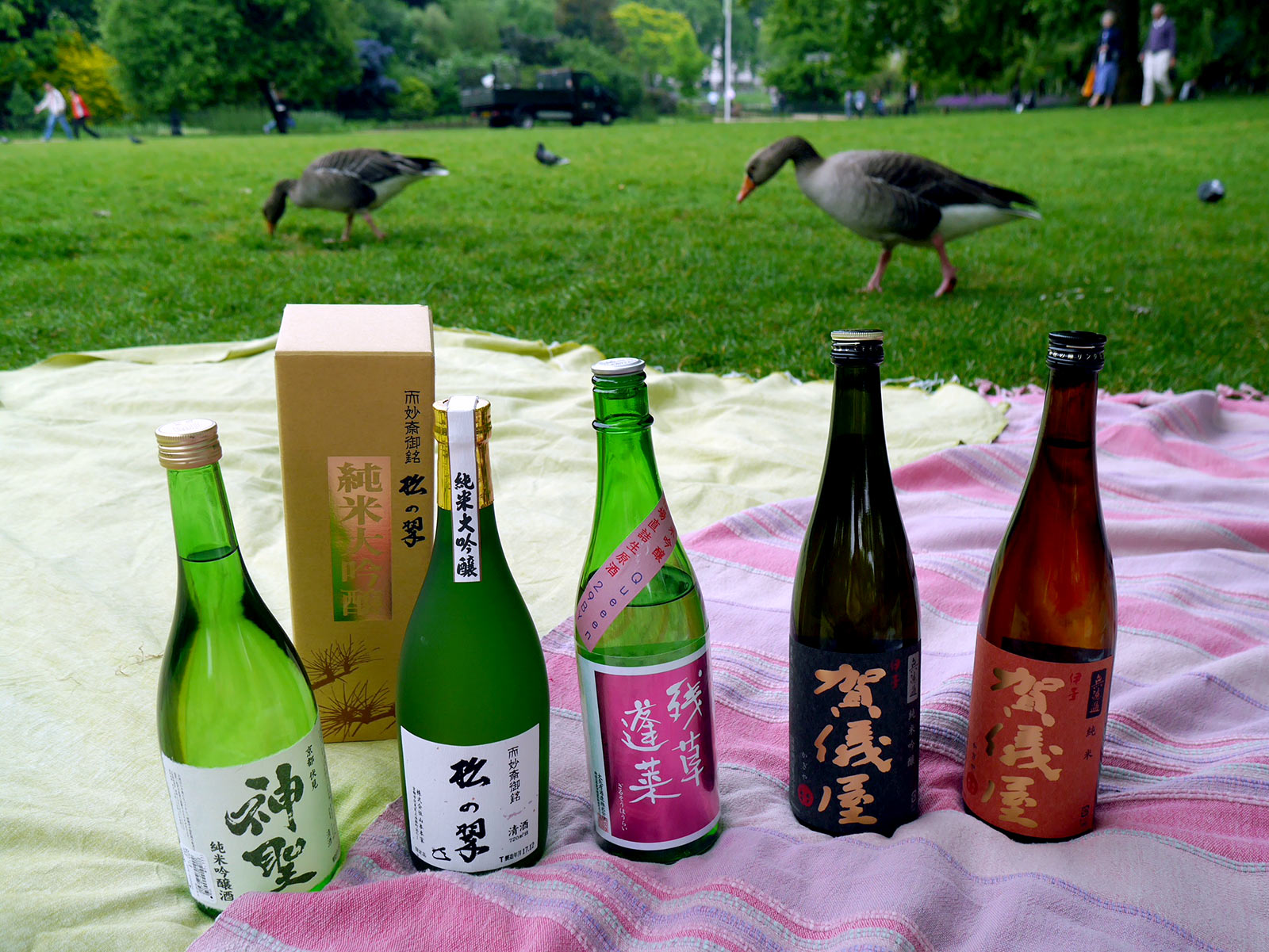 メインビジュアル:ヨーロッパ中が日本酒に注目! 日本酒かかえてあちこち行ってきました。