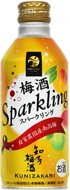 中埜酒造 國盛 知多梅酒スパークリングボトル缶