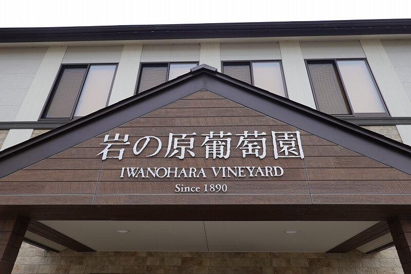 日本ワインの礎マスカット・ベーリーA~川上善兵衛の夢を継ぐ者たち①