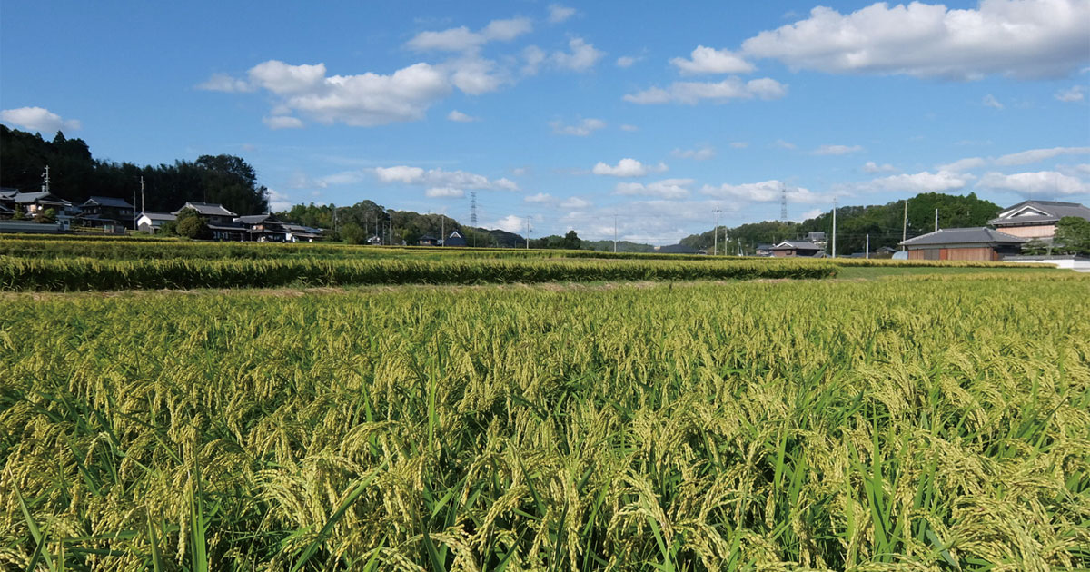 メインビジュアル:日本酒地理的表示 新規認定!「GIはりま」「GI三重」