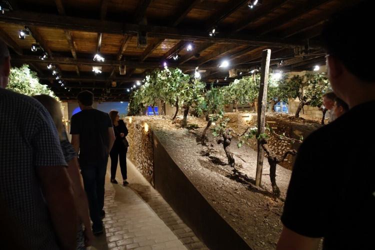 コニャックはブドウが原料。見学コースには実物大のブドウ畑の模型がある