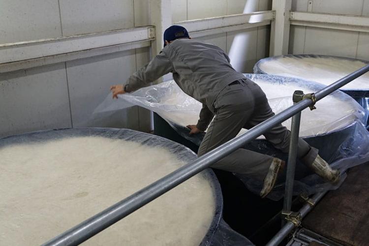 なんでも自分でやってしまう角谷社長。職人肌とも厳しい経営者ともどこか違う、  大学の研究所の教授のような雰囲気をお持ちの素敵な人です。