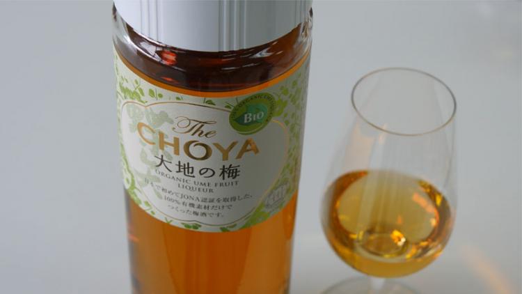 The CHOYA 大地の梅