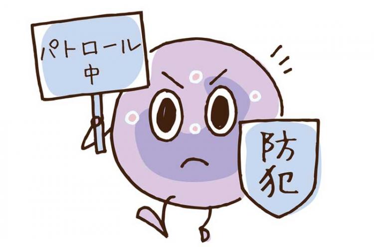 パトロールイメージイラスト