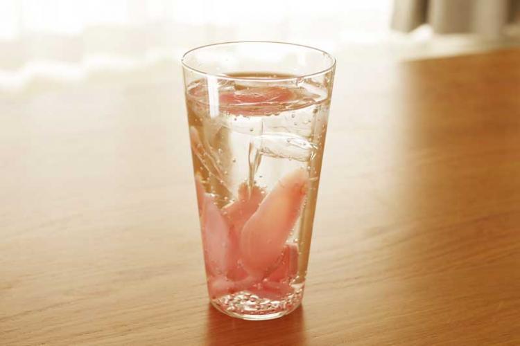 ・ガリ酎