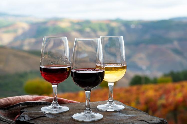 ポルトガルの宝石「ポートワイン」ってどんなお酒？ おいしい飲み方や選び方を解説！ | イエノミスタイル 家飲みを楽しむ人の情報サイト