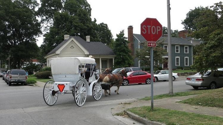 馬車が公道を走りお祭り気分を盛り上げる