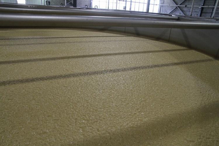 ぶくぶくと発酵して上部を細かな泡が覆っていた