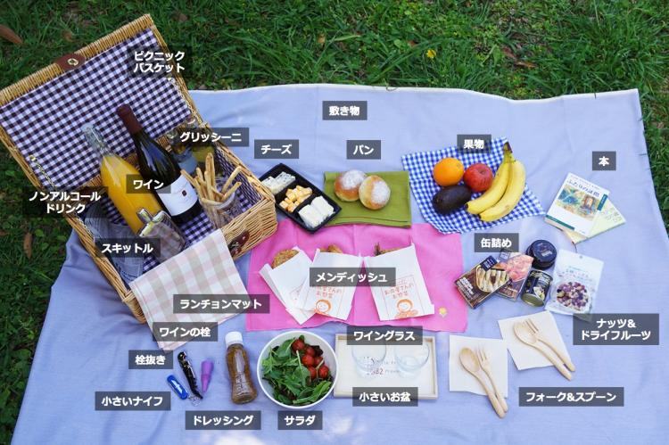 ピクニック図解