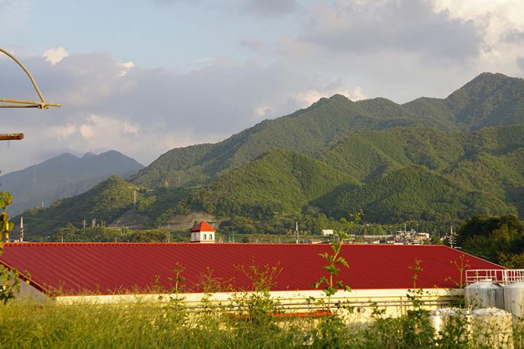 シャンモリ山梨