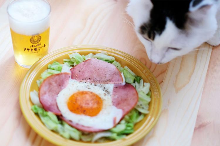 猫も興味津々