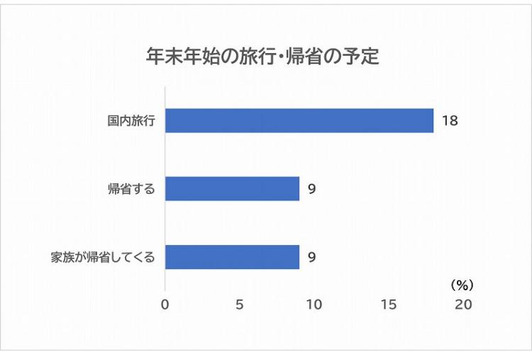 年末年始の予定アンケート