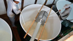 本格的な発酵、醪（もろみ）造り