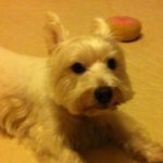 ライター：石川樹里